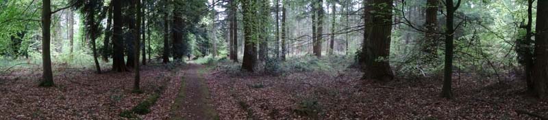 pano1